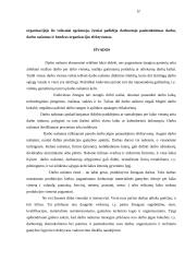 Darbo efektyvumas ir jo didinimo būdai 11 puslapis