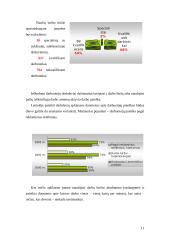 Darbo jėgos pasiūla ir paklausa Šiaulių mieste 1999-2002 metais 11 puslapis