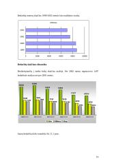 Darbo jėgos pasiūla ir paklausa Šiaulių mieste 1999-2002 metais 16 puslapis