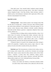 Darbo jėgos pasiūla ir paklausa Šiaulių mieste 1999-2002 metais 4 puslapis