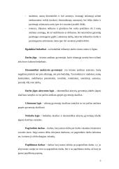 Darbo jėgos pasiūla ir paklausa Šiaulių mieste 1999-2002 metais 5 puslapis