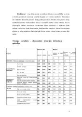 Darbo jėgos pasiūla ir paklausa Šiaulių mieste 1999-2002 metais 6 puslapis