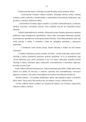 Darbo kultūra 13 puslapis