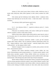 Darbo našumas 2 puslapis