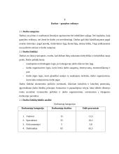Darbas ir darbo organizavimas 2 puslapis