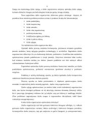 Darbo organizavimo ypatumai skirtingose įmonėse 5 puslapis