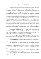 Darbo organizavimo ypatumai skirtingose įmonėse 7 puslapis