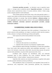 Darbo organizavimo ypatumai skirtingose įmonėse 8 puslapis