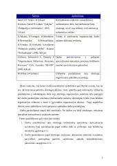 Darbo pasidalijimas ir koordinavimas 2 puslapis