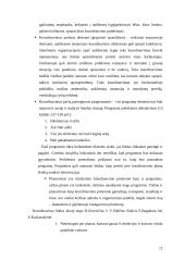 Darbo pasidalijimas ir koordinavimas 12 puslapis