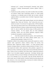 Darbo pasidalijimas ir koordinavimas 17 puslapis