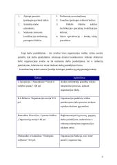 Darbo pasidalijimas ir koordinavimas 9 puslapis