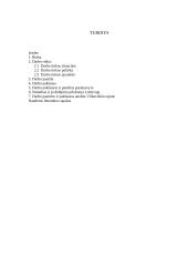 Darbo rinkos pasiūla ir paklausa Lietuvoje 2 puslapis