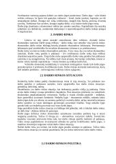 Darbo rinkos pasiūla ir paklausa Lietuvoje 5 puslapis