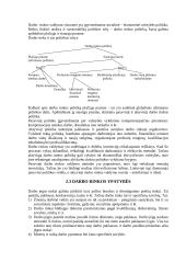 Darbo rinkos pasiūla ir paklausa Lietuvoje 6 puslapis