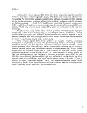 Darbo rinkos problemos 2 puslapis