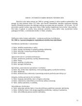 Darbo rinkos problemos 13 puslapis