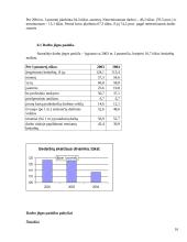 Darbo rinkos problemos 14 puslapis