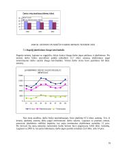 Darbo rinkos problemos 16 puslapis