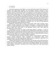 Darbo rinkos problemos Lietuvoje 2 puslapis