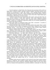 Darbo rinkos problemos Lietuvoje 12 puslapis