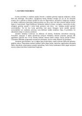 Darbo rinkos problemos Lietuvoje 14 puslapis