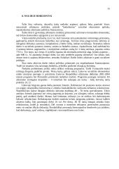 Darbo rinkos problemos Lietuvoje 15 puslapis