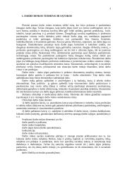 Darbo rinkos problemos Lietuvoje 3 puslapis