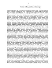 Darbo rinka ir darbo rinkos problemos Lietuvoje  2 puslapis