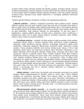 Darbo rinka ir darbo rinkos problemos Lietuvoje  3 puslapis