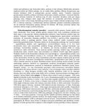 Darbo rinka ir darbo rinkos problemos Lietuvoje  4 puslapis