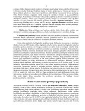 Darbo rinka ir darbo rinkos problemos Lietuvoje  5 puslapis