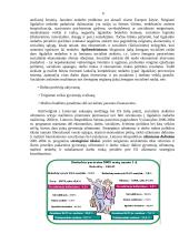 Darbo rinka ir darbo rinkos problemos Lietuvoje  6 puslapis