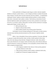 Darbo rinka Lietuvoje ir jos problemos 11 puslapis