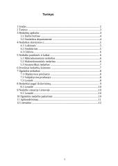 Darbo rinka Lietuvoje ir jos problemos 3 puslapis