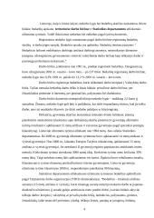 Darbo rinka Lietuvoje ir jos problemos 4 puslapis