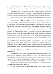 Darbo rinka Lietuvoje ir jos problemos 6 puslapis