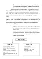 Darbo rinka Lietuvoje ir jos problemos 8 puslapis