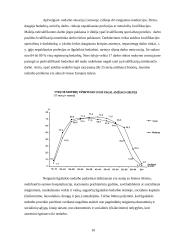 Darbo rinka Lietuvoje ir jos problemos 10 puslapis
