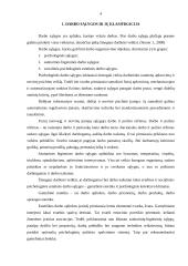 Kenksmingų darbo sąlygų žala darbuotojui 4 puslapis