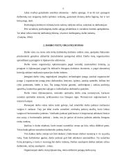 Kenksmingų darbo sąlygų žala darbuotojui 5 puslapis