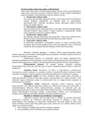 Darbo santykiai 5 puslapis