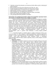 Darbo santykiai 6 puslapis