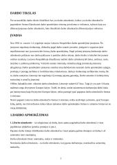 Darbo užmokesčio diferenciacija ir ją sąlygojantys veiksniai 2 puslapis