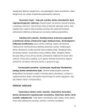 Darbo užmokesčio formos ir sistemos 20 puslapis