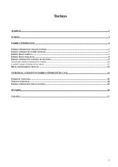 Darbo užmokestis ir jį lemiantys veiksniai 2 puslapis