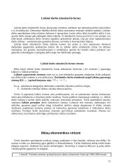 Darbo užmokestis ir jį lemiantys veiksniai 12 puslapis