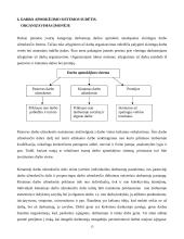 Darbo užmokestis ir jį sąlygojantys veiksniai 15 puslapis