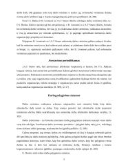 Darbo vertinimas 5 puslapis