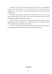Darbo vertinimas 10 puslapis